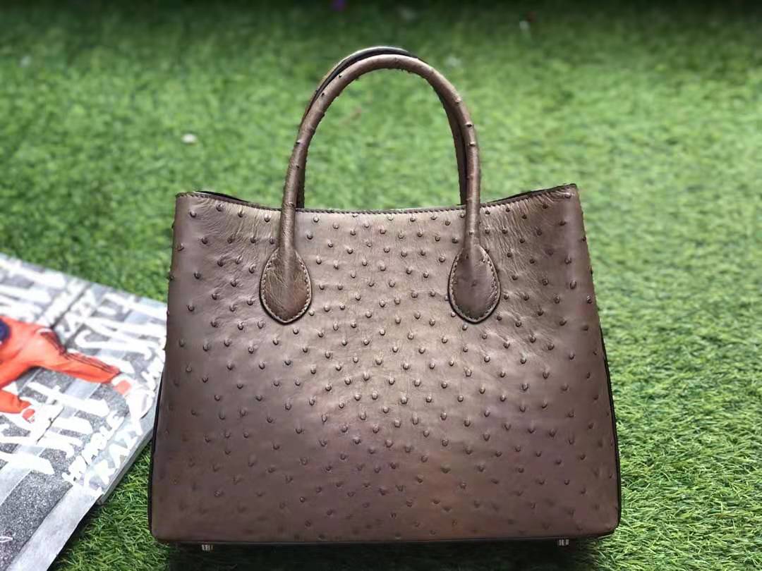 Designer Handbag Ostrich Leather Bag Newest Factory Wholesale Custom Luxury Fashion Genuine Leather Guangdong Unisex Cappuccino